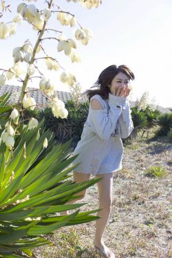 美女被虐小游戏